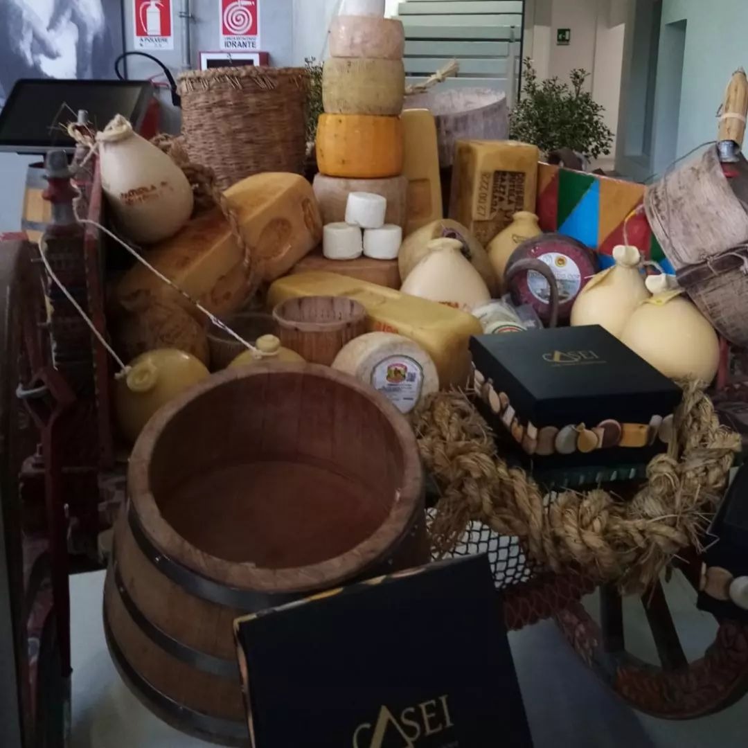 I formaggi della Sardegna