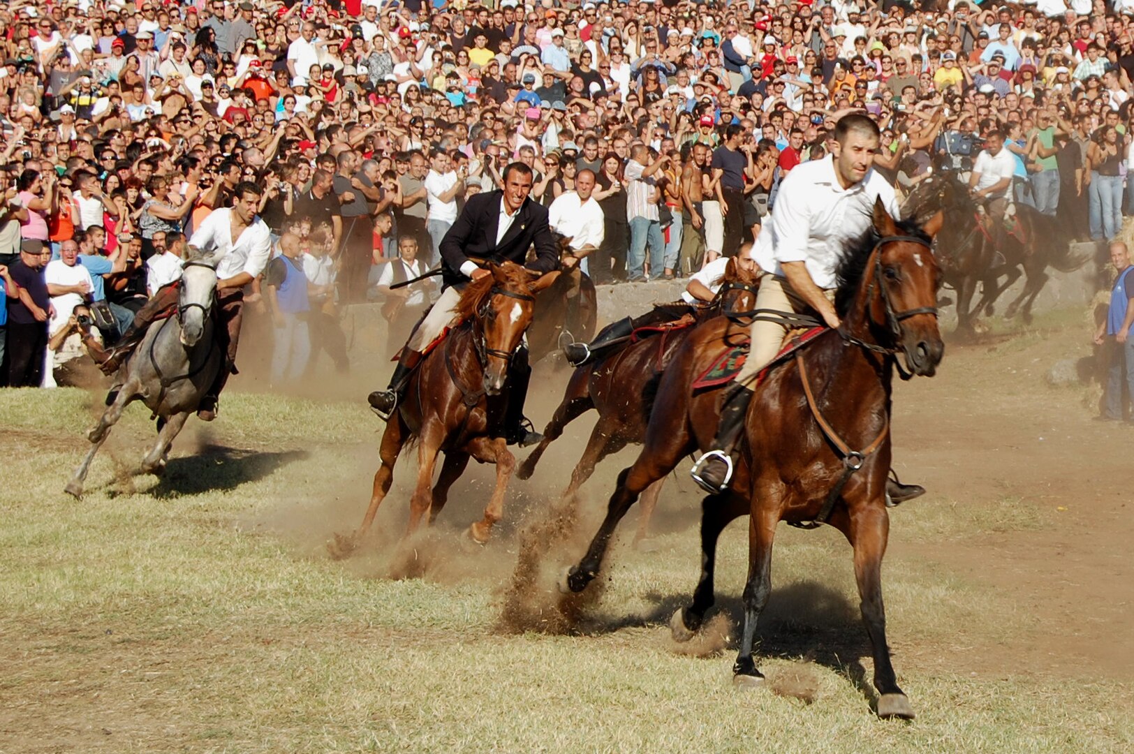 L’Ardia di Sedilo: Un Rito Equestre tra Fede e Tradizione