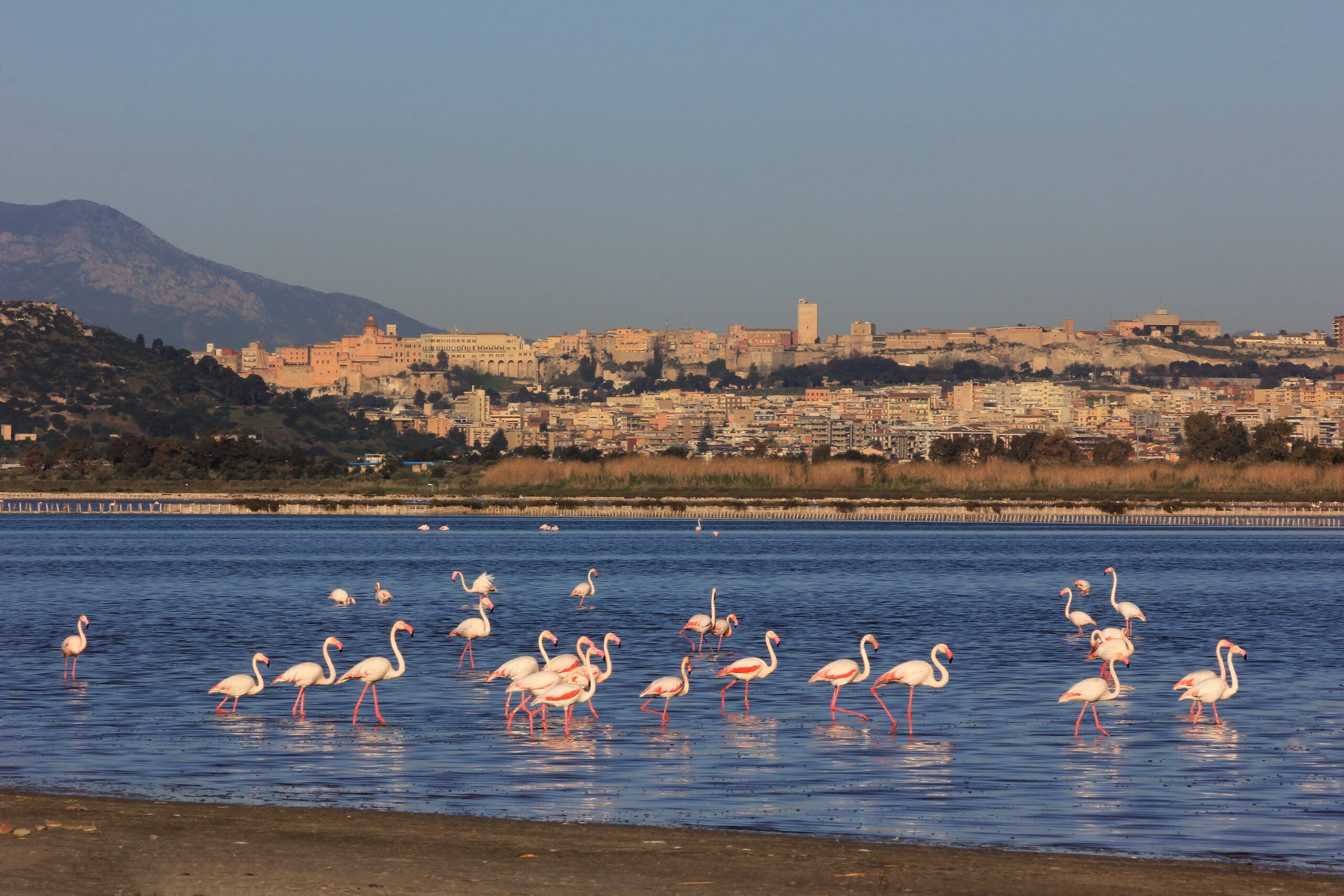 Sardegna per gli amanti della natura: un itinerario tra mare, montagna e paesaggi selvaggi