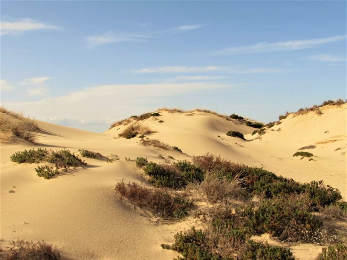 Ferragosto Last Minute in Sardegna: idee e consigli per chi non ha prenotato (e non vuole stressarsi)