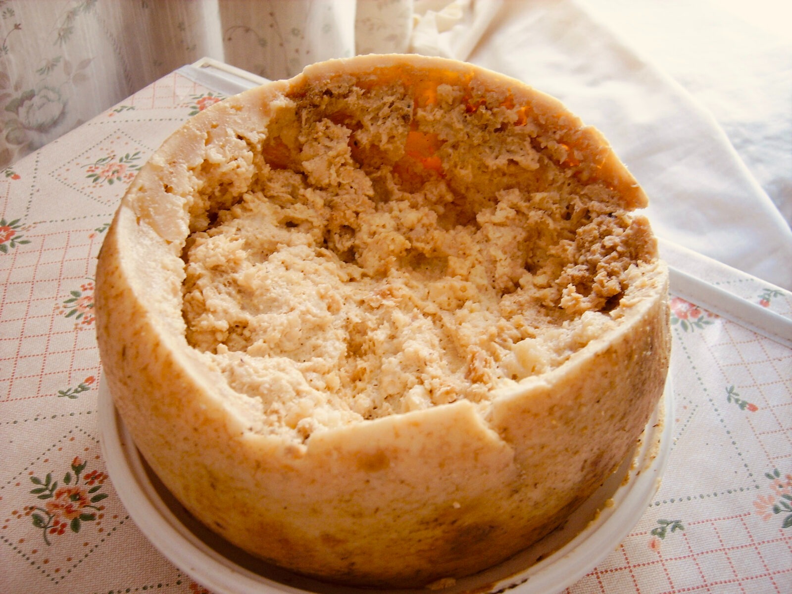 Casu Marzu: Il Formaggio “Proibito” della Sardegna tra Tradizione e Controversie