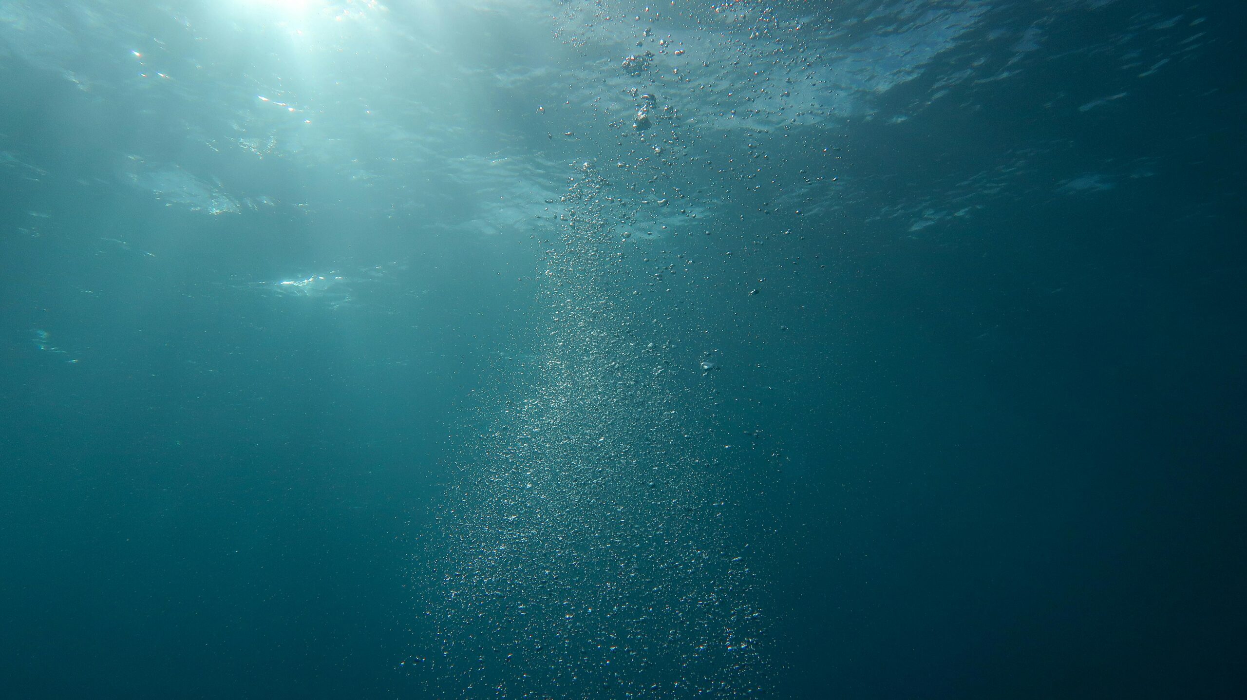 Dove Fare Immersioni Subacquee in Sardegna: Guida ai Migliori Spot
