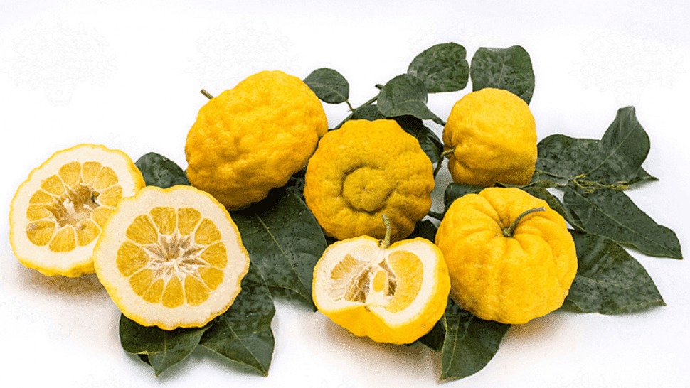 Sa Pompia di Siniscola: Il Tesoro Bitorzoluto della Sardegna