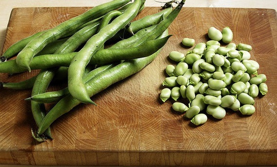 Fave in Sardegna: storia, leggende e ricette di un legume che ha nutrito un’isola