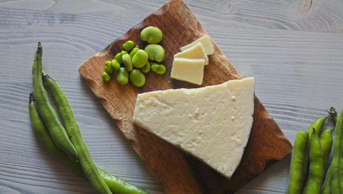 Pane carasau, pecorino e favette fresche: l’antipasto perfetto della primavera sarda