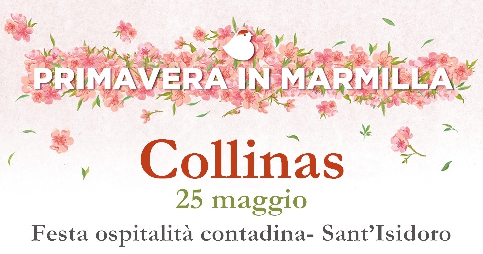 Come si mangiava in Sardegna cent’anni fa: la cucina contadina tra pane carasau, formaggi, legumi e vino novello
