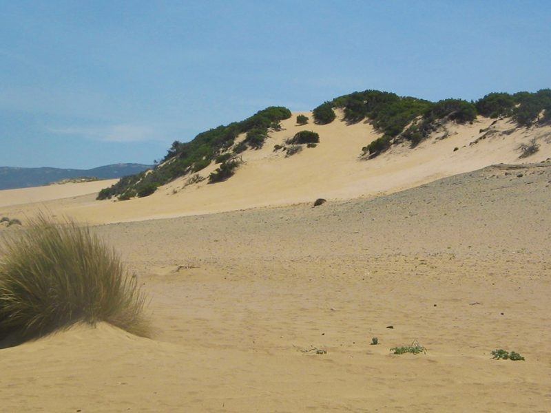 Piscinas e le sue dune: il “piccolo Sahara” della Sardegna