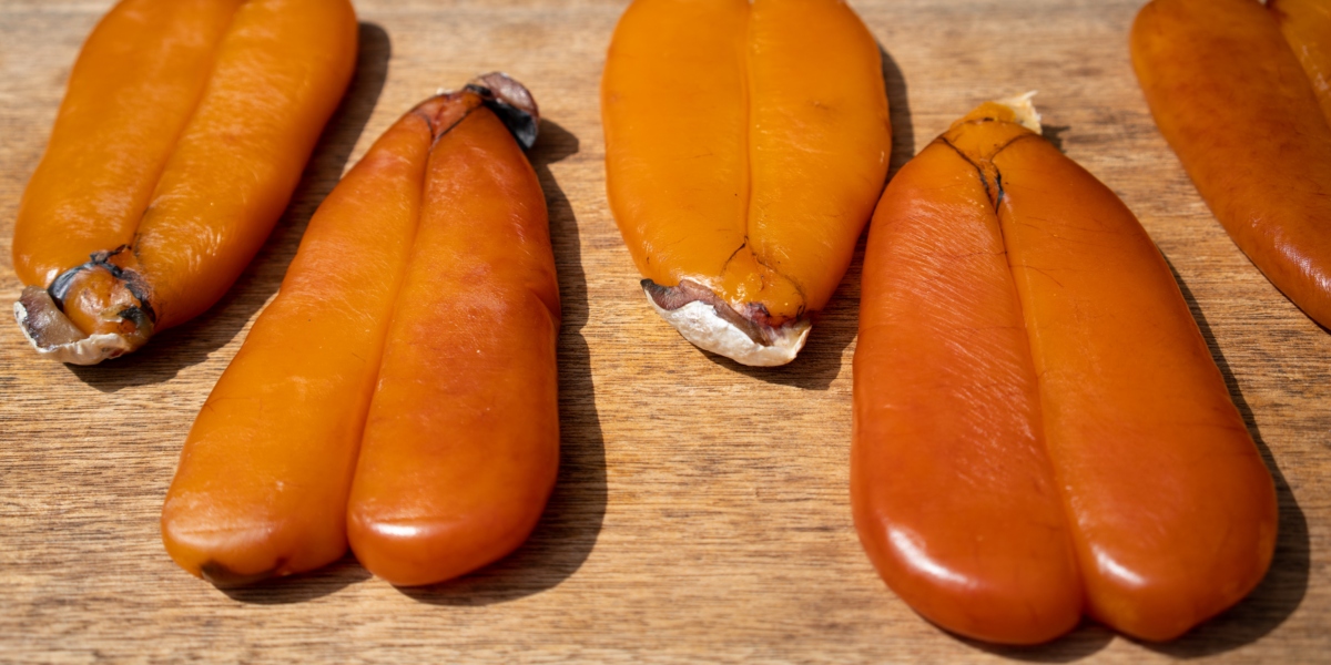 La Bottarga: l’oro del Mediterraneo tra storia, tradizione e gusto
